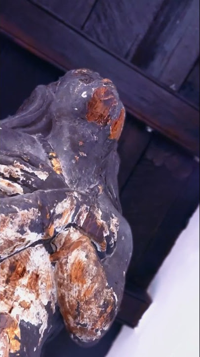 Do You Know Her? You Can Visit Her Though! #short #sarawakborneo #history