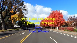 Beautiful Oregon: Fall color and foliage in Portland [Part 1: Long Video, 2.7K Go Pro]