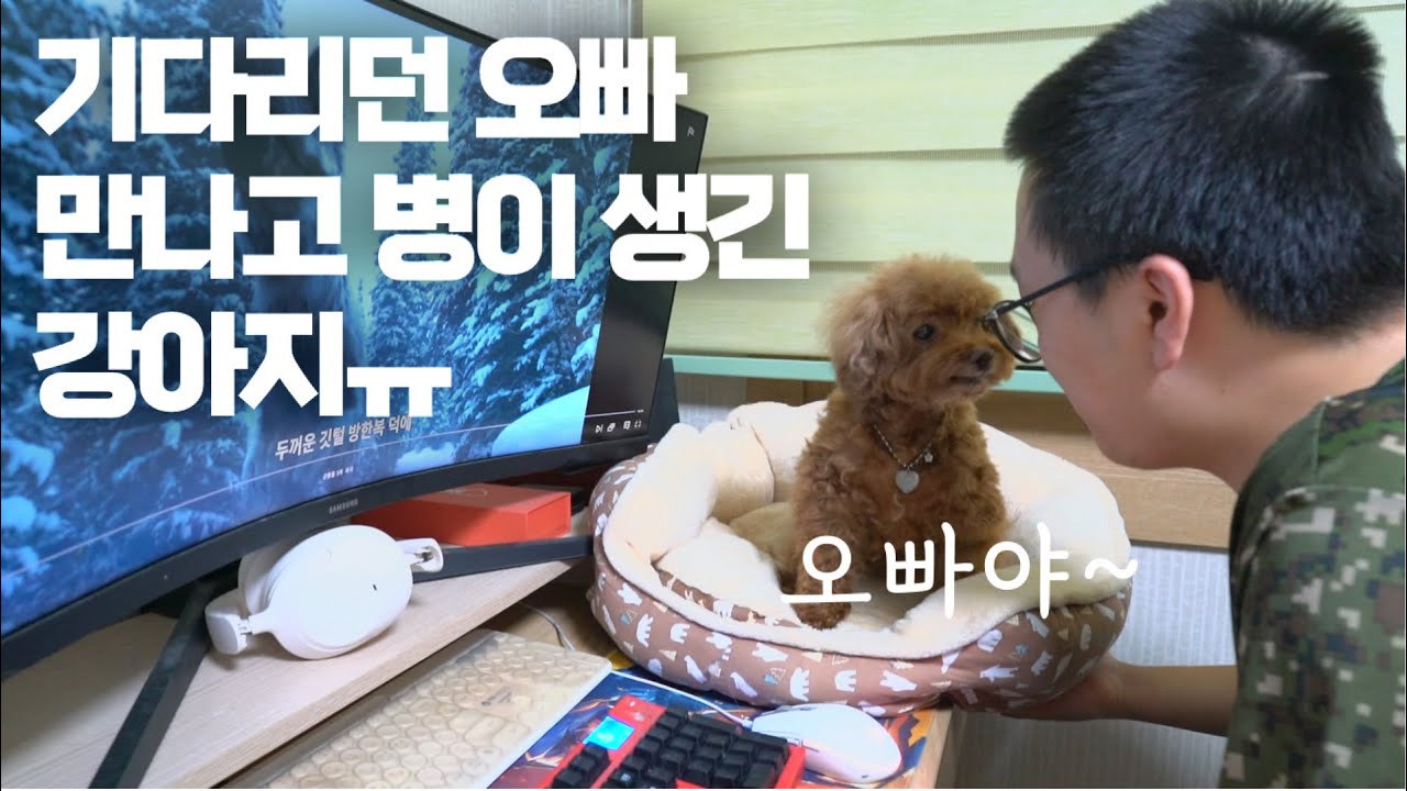 훈련소 다녀온 오빠에게 심각한 껌딱지가된 강아지ㅋㅋㅋㅋ