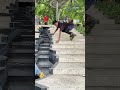 Skating stunt,don’t try it without any training #skating #skills #skater #skateboarding #rollerblade