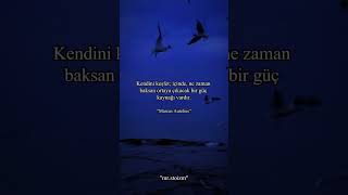 Hayatın En Büyük Keşfi, Dış Dünyada Değil