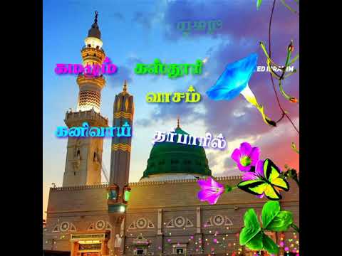 mehamoodhu-nabigal-pirane-|-tamil-islamic-whatsapp-status-|-haji-nagoor-em.hanifa-song