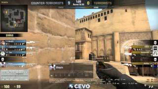 LOL csgo smoke kill :D
