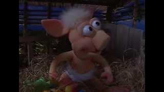 COCORICÓ 2011 - Completo