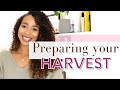 Waiting on God| Preparing For Your Harvest season|Christian collab with @Yasmine Williams Woods