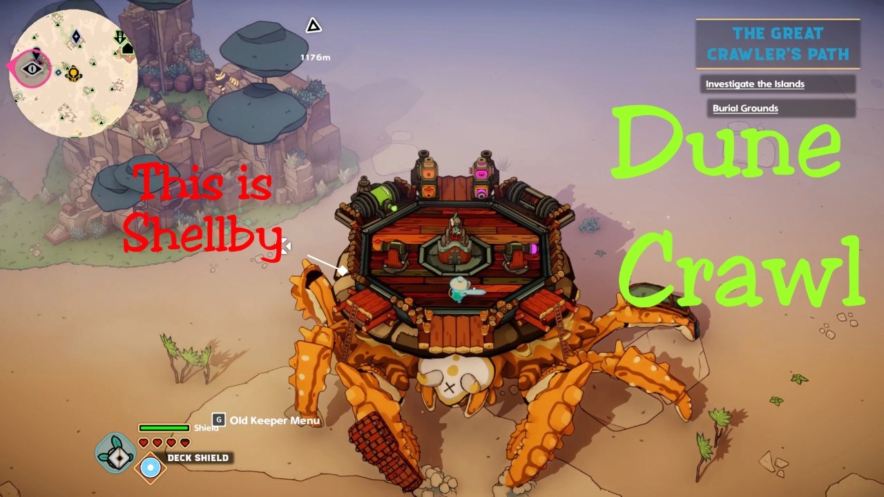 This is Shellby, My Crab Crawler
