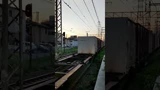 【EF210-120】EF210形桃太郎牽引の貨物列車の通過