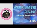 WEBRIUM水槽 立上げ #05 ＊底砂を粗目の砂へ入替＊