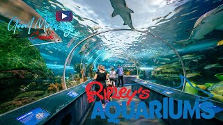 Поход в Канадский аквариум RIPLEY'S AQUARIUM of CANADA TOUR! Toronto, Ontario