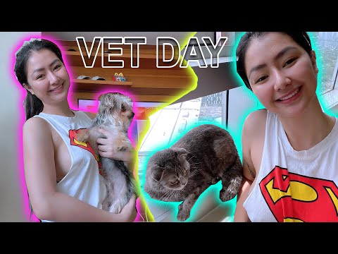 MY MORNING ROUTINE & VET DAY OF MY BABIES | ROB GUINTO