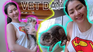 MY MORNING ROUTINE & VET DAY OF MY BABIES | ROB GUINTO