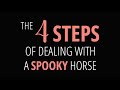 The 4 steps of dealing with a spooky horse