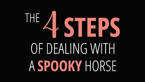 The 4 steps of dealing with a spooky horse