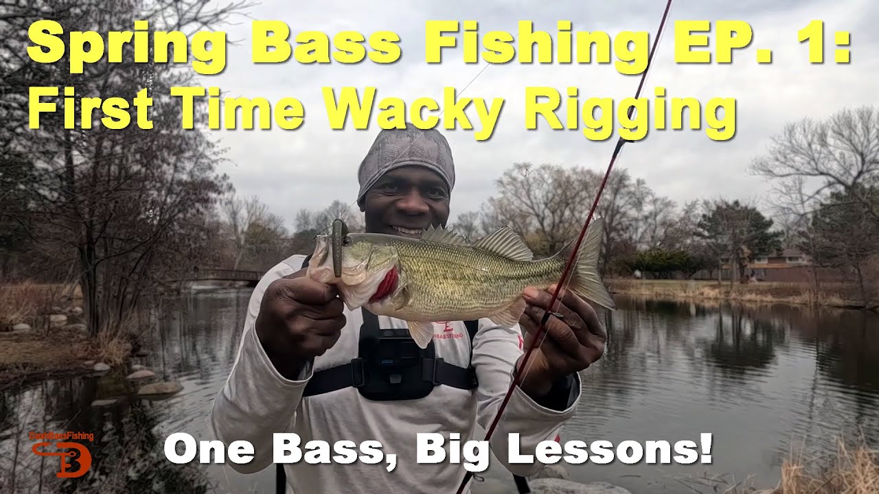 How to Spring Bass Fishing EP. 1: First Time Wacky Rigging