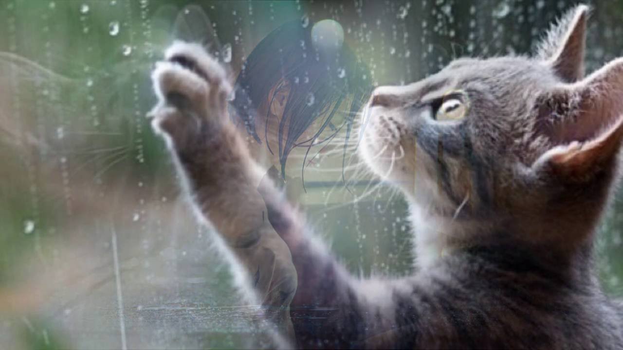 忘れ雨 ／稲葉喜美子