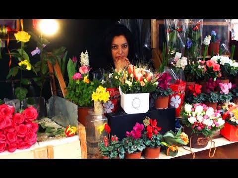 Video: Իրեզին (35 լուսանկար). Herbst- ի և Linden- ի տեսակների նկարագրություն, տանը ծաղիկ խնամելը: Բաց դաշտում իրեզինի աճեցման կանոններ