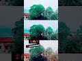 کبھی فرصت ملے تو ہمیں یاد کرنا ہم گزرا ہوا وقت نہیں ہو جو لوٹ کر واپس نہیں آؤ گا