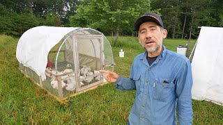 How Much Feed do my Broiler Chickens Eat Profile