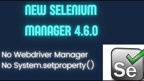 New Selenium 4.6.0 | Selenium Manager - No need to set driver.exe