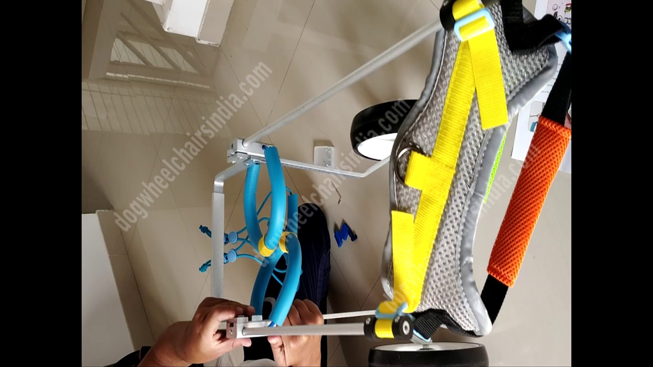 Mintbowl Dog wheelchairs India unboxing and Assembly contact 9979035679