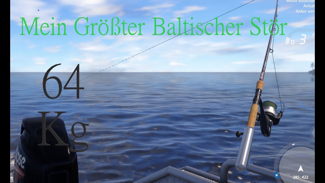 Russian Fishing 4 Baltischer Stör - YouTube
