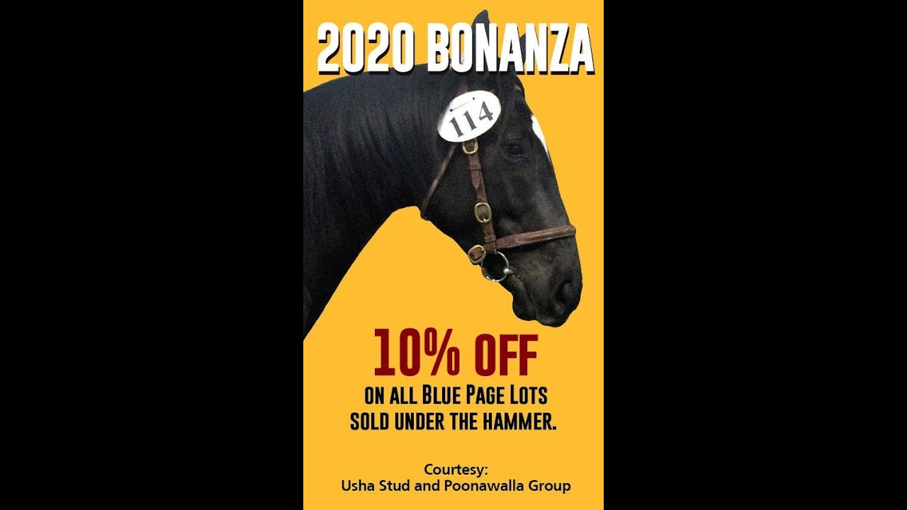 Nanoli Stud Farms Ladybird