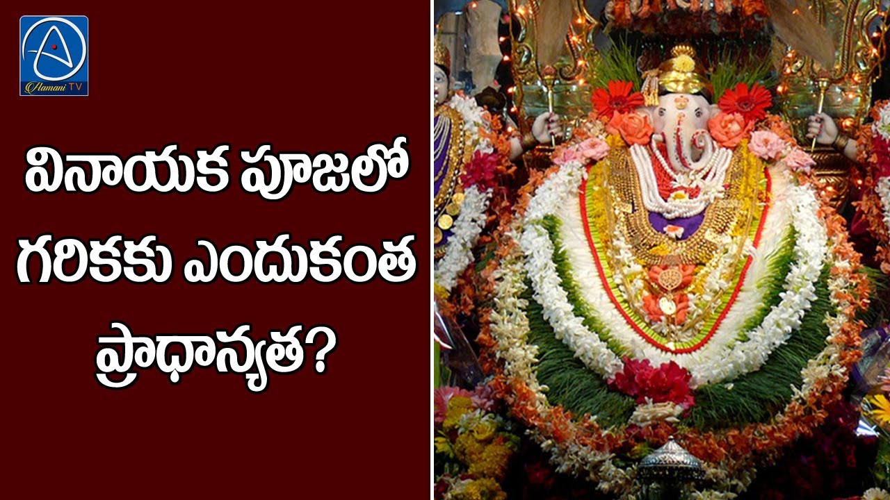 Garika Significance | Use of Durva Grass in Ganesh Pooja | AamaniTv ...