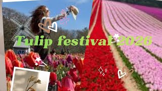 “Hidden Gem in England 🌷 | Hertfordshire Tulip Festival Guide”
