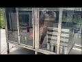 AutoFireX ILP Foam Fire Extinguishing System Engine Bay Test