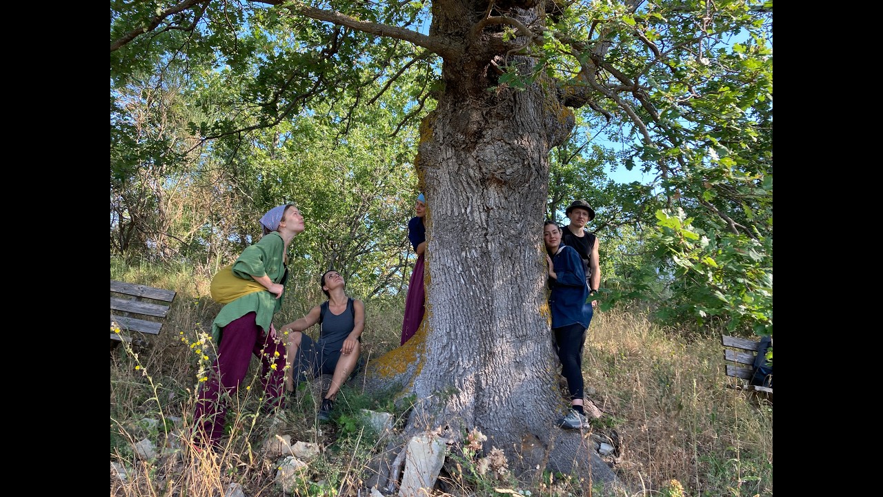 Forest Bathing e Teatro Simurgh nella Valle del Trigno in Abruzzo