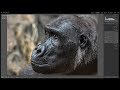 How I Sharpen & Reduce Noise in Lightroom