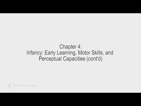 Developmental Psychology - Lecture 10 (PSYC 240)