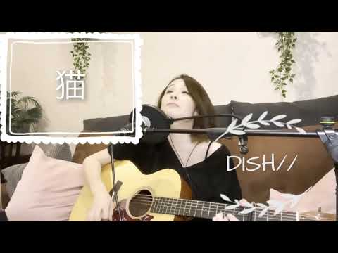 猫　DISH// (歌詞付き) 弾き語りカバー　by eri [First Take]