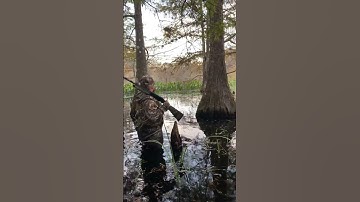 CALLING IN SOME WOODIES!!!