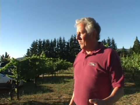Vídeo: Degustação de vinhos nas montanhas de Santa Cruz: The Summit Road Wineries