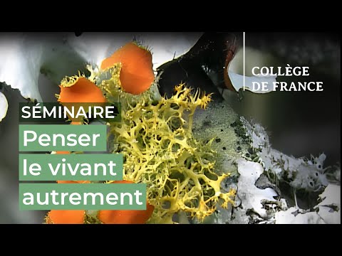 Vidéo: Quand le covid culminera-t-il en Virginie ?