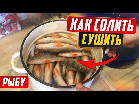 Мокрый посол и вяление рыбы. Как правильно солить, вымачивать, сушить рыбу.