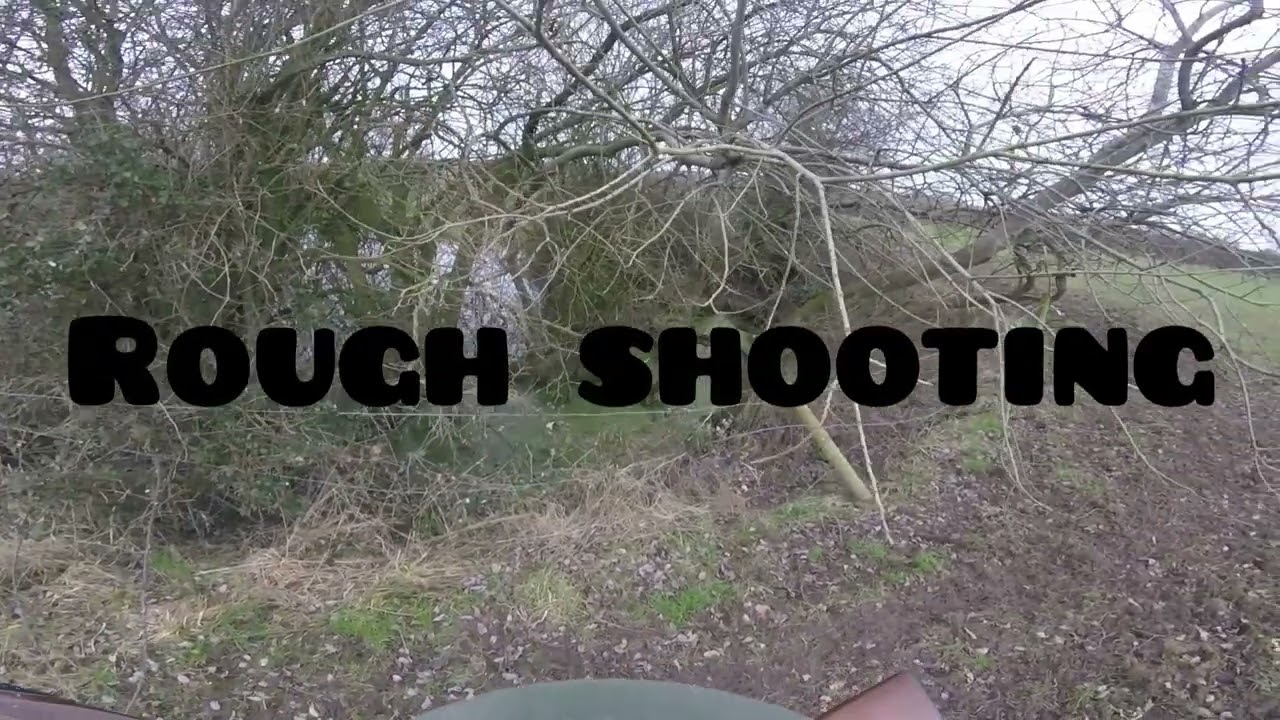 Rough shooting Ducks, Pheasants & Snipe