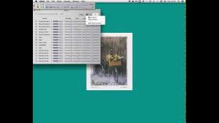 QMidi Screencast - Mute groups and keyboard shortcuts.