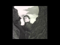 Susumu Hirasawa - The Man Climbing the Hologram (instrumental)