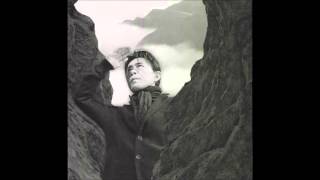 Susumu Hirasawa - The Man Climbing the Hologram (instrumental)