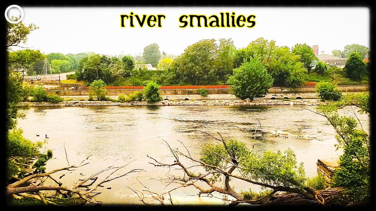 Fishing the Nikko Hellgrammite for PIG River Smallmouth