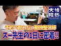 【情熱犬陸】予約の取れない動物整体師スー先生の1日に密着！！