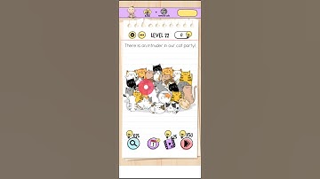 Brain Test Tricky Puzzle Level 22