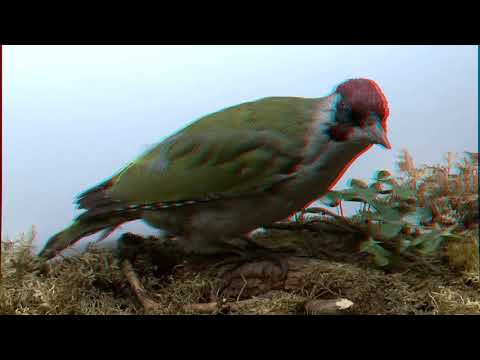 Video: 3D Sferos Vis Dar Veikia