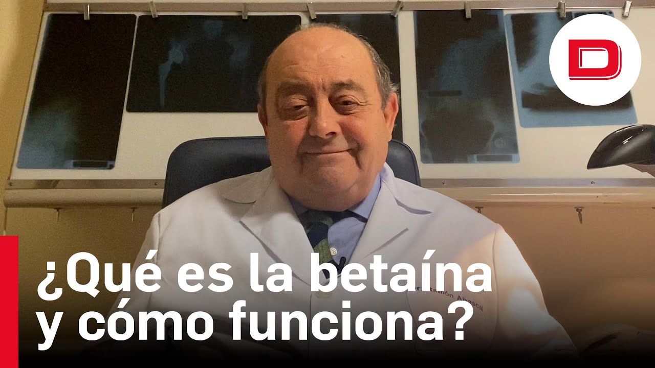 Beta na Qu Es Y C mo Act a En El Organismo YouTube beta-na-qu-es-y-c-mo-act-a-en-el-organismo-youtube