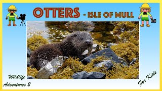 Otters for Kids | Searching for otters on the Isle of Mull