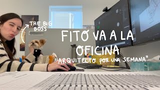 Una Semana en mi Trabajo - Pet-friendly *Arquitectura* ♡Trillizas | Triplets by Trilliz Catalano Vlogs 27,141 views 2 months ago 16 minutes