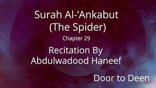 Surah Al-'Ankabut (The Spider) Abdulwadood Haneef  Quran Recitation