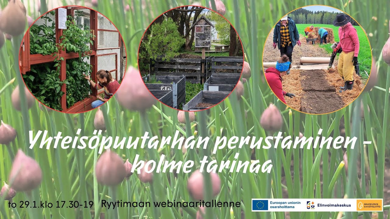 Yhteisöpuutarhan käynnistäminen -webinaari 29.1.2026